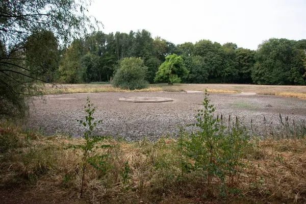 LEIPZIG, ALMANY - 18 AĞUSTOS 2018: Bir yaz kuraklığı sırasında parkta kısmen kurumuş bir gölet. Yüksek kalite fotoğraf