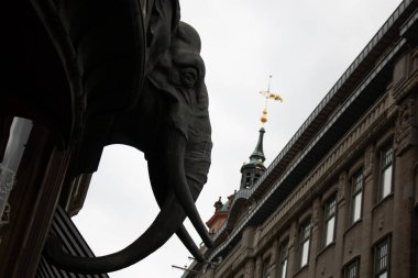 S-HERTOGENBOSCH, NETHERLANDS - 18 Ağustos 2018: Arkasında Saint Johns Katedrali olan tarihi De Olifant binasının ön cephesindeki fil heykeli. Yüksek kalite fotoğraf