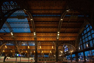  LEIPZIG, ALMANY - 18 AĞUSTOS 2018: Alacakaranlıktaki Leipzig Hauptbahnhofs treninin aydınlık trenleri ve kubbeli çatısı olan iç manzarası. Yüksek kalite fotoğraf