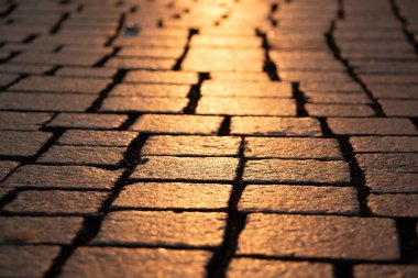 Gün doğumunda Leipzig 'deki Cobblestone Caddesi' nde. Yüksek kalite fotoğraf