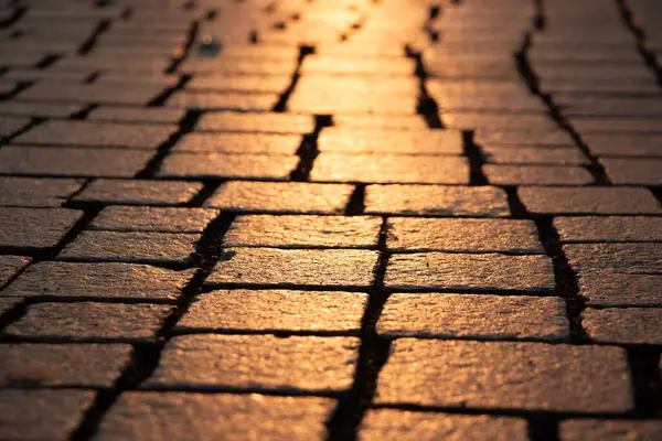 Gün doğumunda Leipzig 'deki Cobblestone Caddesi' nde. Yüksek kalite fotoğraf