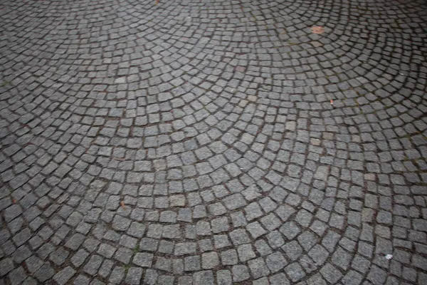  Dairesel desenli, soyut desenli bir parke. Yüksek kalite fotoğraf