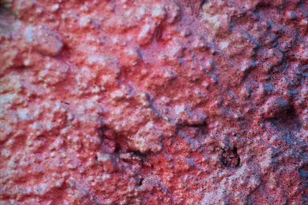 Kaba kırmızı desenli duvar yüzeyini Leipzig 'in soyulmuş arka planıyla kapatın. Yüksek kalite fotoğraf