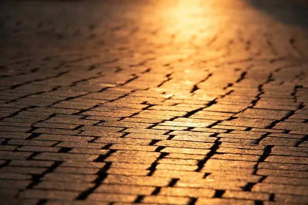 Gün doğumunda Leipzig 'deki Cobblestone Caddesi' nde. Yüksek kalite fotoğraf