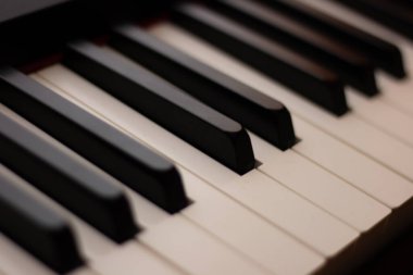  Siyah beyaz piyano klavye enstrümanı. Yüksek kalite fotoğraf