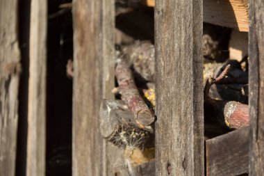Çeşitli ahşap parçaları olan ahşap bir yapı. Yüksek kalite fotoğraf
