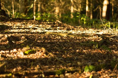  Koyu gri arka plan minimalist dokusu. Yüksek kalite fotoğraf