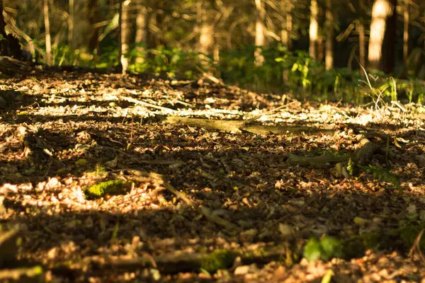  Koyu gri arka plan minimalist dokusu. Yüksek kalite fotoğraf