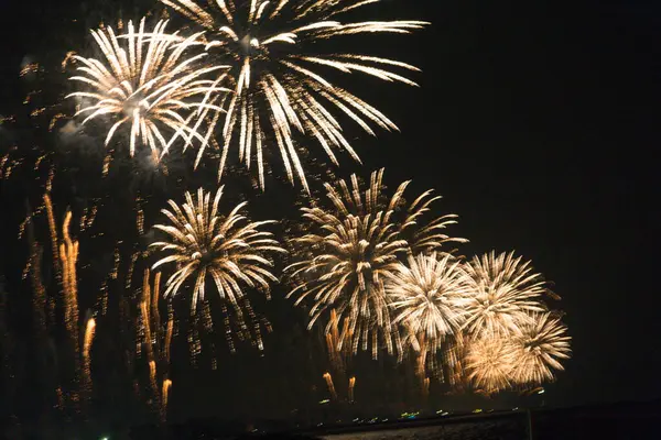  Karanlık bir gökyüzü kutlaması ve aydınlıkta renkli havai fişekler patlıyor. Yüksek kalite fotoğraf