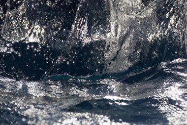  Dinamik mavi ve beyaz su sıçrama-soyut sıvı hareketi. Yüksek kalite fotoğraf