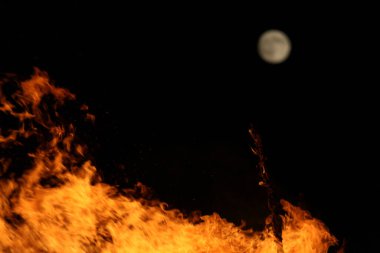  Yoğun turuncu ve sarı alevleri olan büyük şenlik ateşi. Yüksek kalite fotoğraf