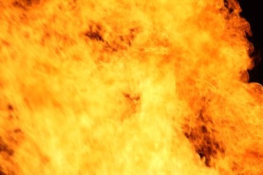  Yoğun turuncu ve sarı alevleri olan büyük şenlik ateşi. Yüksek kalite fotoğraf