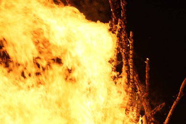  Yoğun turuncu ve sarı alevleri olan büyük şenlik ateşi. Yüksek kalite fotoğraf