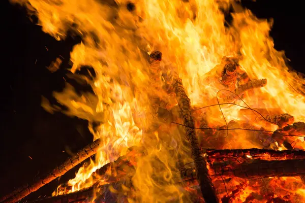  Yoğun turuncu ve sarı alevleri olan büyük şenlik ateşi. Yüksek kalite fotoğraf