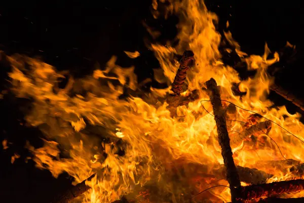  Yoğun turuncu ve sarı alevleri olan büyük şenlik ateşi. Yüksek kalite fotoğraf