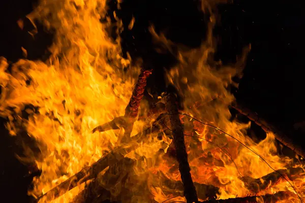  Yoğun turuncu ve sarı alevleri olan büyük şenlik ateşi. Yüksek kalite fotoğraf