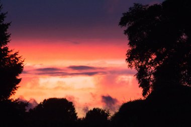  Siluetli tarlaların üzerinde gün batımı gibi parlayan gökyüzü. Yüksek kalite fotoğraf