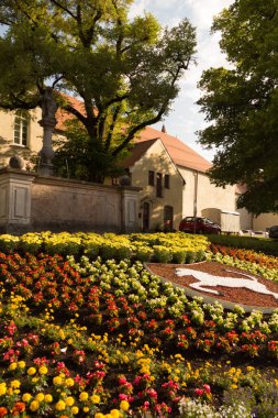 HAAG OBERBAYERN, GERMANY - 28 Mayıs 2013: Loewenbrunnen çeşmesinin manzarası şehir merkezinde çiçek açan çiçeklerle ve tarihi binalarla çevrili. Yüksek kalite fotoğraf