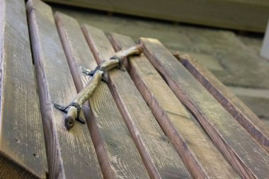 Dachau, Almanya - 25 Kasım 2017: Dachau Toplama Kampı Anıt Alanı 'ndaki ahşap panjurları koruyan paslı metal bir sürgüye yakın çekim. Yüksek kalite fotoğraf