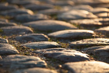 Taşların arasında yosun yetişen düşük güneş ışığıyla aydınlanan eski kaldırım taşı yolu. Yüksek kalite fotoğraf