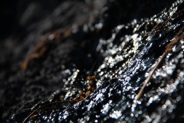 Güney Almanya 'da, yumuşak akşam ışığında, ormanlık dağların puslu tabakaları uzaklığa doğru kayboluyor. Yüksek kalite fotoğraf