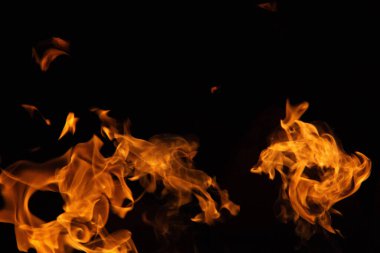 İzole olmuş alevler, dinamik ateş şekilleriyle siyah zemin üzerinde yükseliyor. Yüksek kalite fotoğraf