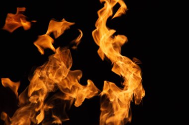 İzole olmuş alevler, dinamik ateş şekilleriyle siyah zemin üzerinde yükseliyor. Yüksek kalite fotoğraf