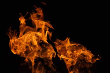 İzole olmuş alevler, dinamik ateş şekilleriyle siyah zemin üzerinde yükseliyor. Yüksek kalite fotoğraf