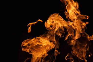 İzole olmuş alevler, dinamik ateş şekilleriyle siyah zemin üzerinde yükseliyor. Yüksek kalite fotoğraf