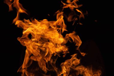 İzole olmuş alevler, dinamik ateş şekilleriyle siyah zemin üzerinde yükseliyor. Yüksek kalite fotoğraf