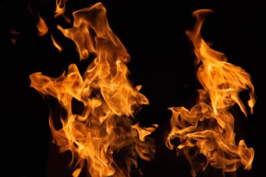 İzole olmuş alevler, dinamik ateş şekilleriyle siyah zemin üzerinde yükseliyor. Yüksek kalite fotoğraf