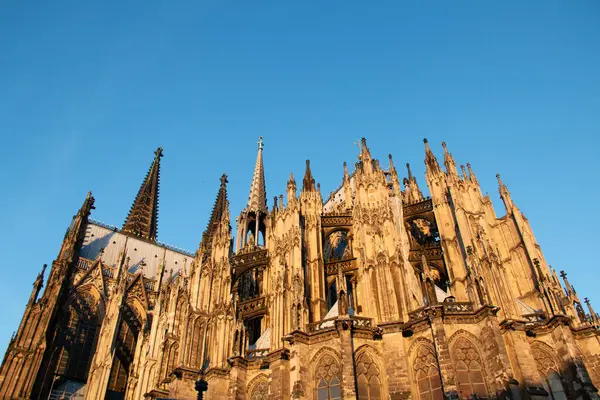 COLOGNE, ALMANY - 29 ARALIK 2017 Köln Katedrali 'nin dış görünüşü açık mavi gökyüzüne karşı altın güneş ışığıyla yıkandı. Yüksek kalite fotoğraf