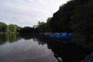 MUNICH, GERMANY - 24 Haziran 2025: Kleinhesseloher 'ın sakin yüzeyinde yüzen mavi pedallı tekneler İngiltere Bahçesi' nde yemyeşil ağaçlarla çevrili göle bakın. Yüksek kalite fotoğraf