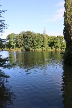 MUNICH, Almanya - 24 Haziran 2025: Ağaç kaplı kıyı ve berrak mavi gökyüzü sakin suya yansıyan göl dikey görünümü. Yüksek kalite fotoğraf