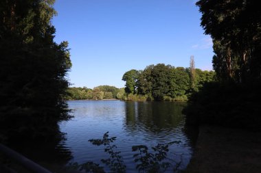 MUNICH, Almanya - 24 Haziran 2025: Güneşli bir sabahta açık mavi gökyüzü ile Hofgarten parkındaki gölde yansıyan ağaçların görüntüsü. Yüksek kalite fotoğraf