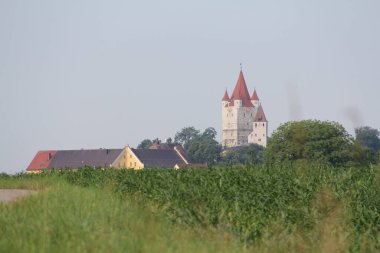 HAAG OBERBAYERN, GERMANY - 19 Haziran 2025: Oberbayern 'deki Bavyera pazar kasabası Haag' ın çatılarından yükselen tarihi Schlossturm Haag manzarası. Yüksek kalite fotoğraf