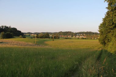 SOYEN, GERMANY - 11 Haziran 2025: Soyen yakınlarındaki Bavyera kırsalının manzarası, yeşil çayırlar, uzak evler ve altın akşam ışığında orman kenarı. Yüksek kalite fotoğraf