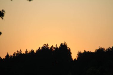 Soyen 'deki orman siluetlerinin arkasında gün batımı - Bavyera kırsalındaki ağaçların tepelerinde turuncu gökyüzü. Yüksek kalite fotoğraf