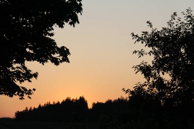 Almanya, Soyen yakınlarındaki ağaç siluetleri ve orman kenarlı günbatımı manzarası. Yüksek kalite fotoğraf