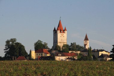 HAAG OBERBAYERN, ALMANY - 31 Mayıs 2025: Sabah manzarası tarihi Schlossturm kulesi ve Oberbayern 'deki Haag çevresindeki yeşil alanlar ön planda. Yüksek kalite fotoğraf
