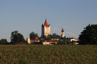 HAAG OBERBAYERN, ALMANY - 31 Mayıs 2025: Oberbayern 'deki Haag yakınlarında geleneksel Bavyera evleri ve yalnız bir ağaç ile sisli bir çayırda huzurlu bir gün doğumu. Yüksek kalite fotoğraf