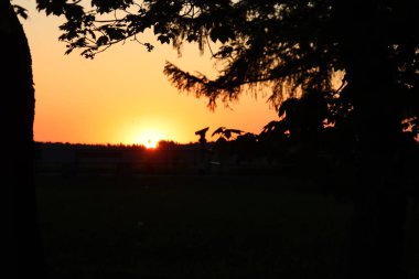 Oberbayern 'deki Haag' da orman siluetleri ve turuncu parıltılı ağaçların arasından gün batımı ışığı parlıyor. Yüksek kalite fotoğraf