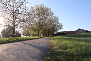 HAAG in OBERBAYERN, ALMANY - 29 Nisan 2025: Sabah güneşi Grandl Hofcafe 'nin yanından geçen yolda uzun gölgeler bıraktı ilkbaharda çiçek açan ağaçlar ve yeşil çayırlar. Yüksek kalite fotoğraf