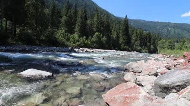 Avusturya 'daki Krimmml Şelaleleri yakınlarındaki kayaların üzerinden akan temiz dağ nehri mavi gökyüzünün altında orman ve dağlarla çevrilidir. Yüksek kaliteli FullHD görüntüler
