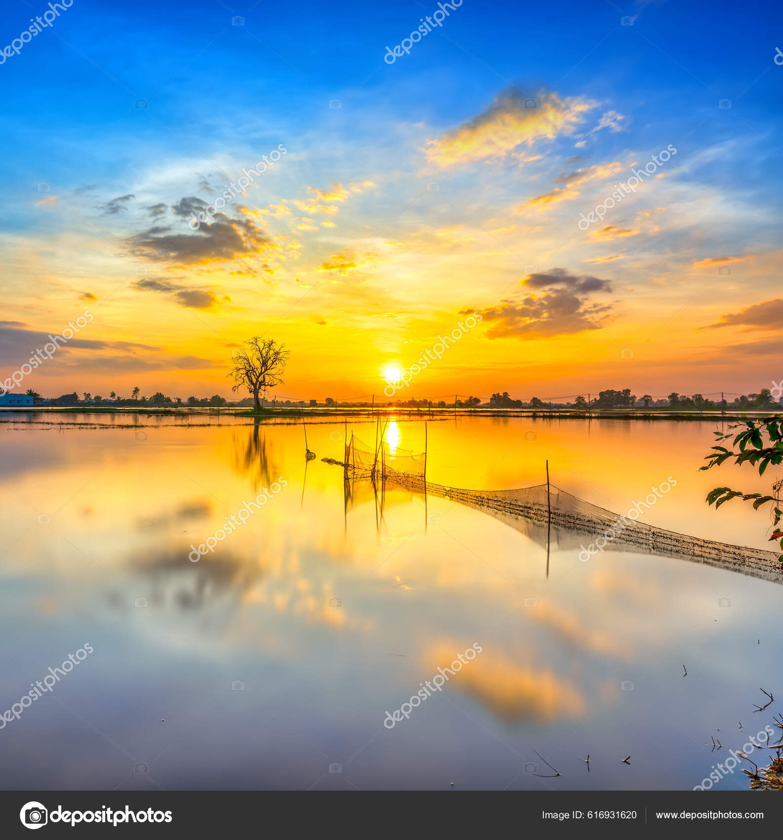 Sunset River Flooded Swampy Countryside Sun Horizon Really Dramatic End ...