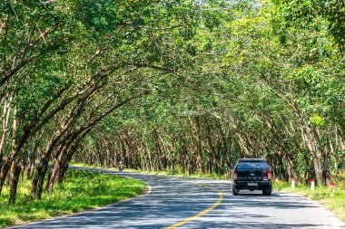 Tay Ninh, Vietnam - 1 Ocak 2022: Sonbahar sabahı eski kauçuk orman kavşağında trafik, Saigon 'u Tay Ninh, Vietnam' a bağlayan önemli bir trafik rotası.