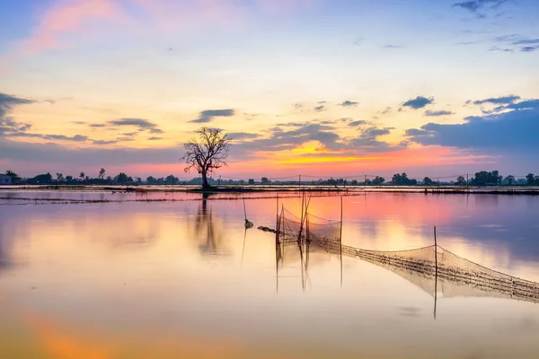 Sunset River Flooded Swampy Countryside Sun Horizon Really Dramatic End — Stock Photo, Image