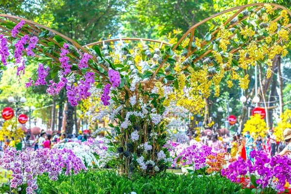 Цветущие Орхидеи Украшены Полке Весной Лунного Нового 2022 Года Экологическом — стоковое фото