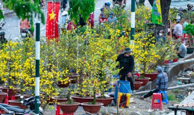 Ho Chi Minh Şehri, Vietnam - 31 Ocak 2022: Çiçek pazarından çiçek satın alma telaşı, yerel halk dekorasyon amacıyla çiçek satın alıyor..