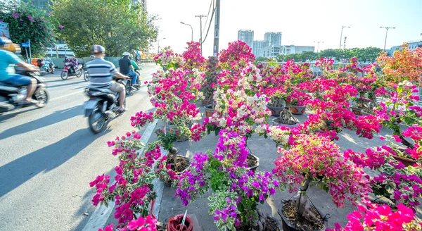 Chi Minh City Wietnam Stycznia 2022 Kupno Kwiatów Targu Kwiatowym — Zdjęcie stockowe